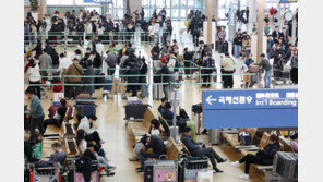 작년 하늘길 역대 최다였지만…항공사 수익성은 후퇴