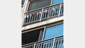 “윗집 베란다에 생선 주렁주렁”…악취 항의했더니 욕설