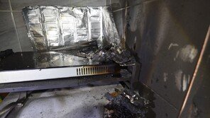 고양이가 또 전기레인지 ‘꾹’…대전 삼성동 주택서 화재