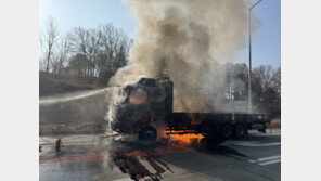 당진대전고속도 달리던 5톤 화물차에 불…20분 만에 꺼져