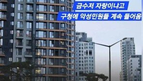 ‘금수저가 자랑이냐’ 민원에 최가온 ‘금메달 현수막’ 철거?…AI 조작이었다