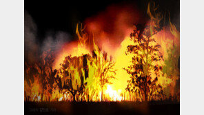 장흥 부산면 야산서 불…산림 당국 진화 중