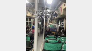 한국 vs 동남아 누리꾼 ‘온라인 혐오 전면전’, 왜?