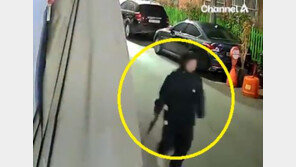 ‘길이 85㎝ BB탄 소총’ 붙잡힌 30대女, 버젓이 밤거리 활보