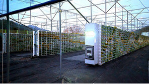 씨엠아이 ‘슈퍼그린 수직정원’, 기후변화 대응 성능 실증 ‘성공’ 판정