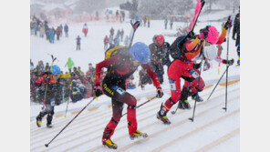 “고맙다 산악스키” 스페인 54년만에 금맛