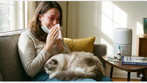 고양이 알레르기 원인은 털에 묻은 침