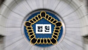 여성BJ 얼굴에 나체사진 합성해 유포…20대 징역형 집유