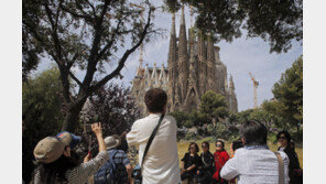 스페인 사그라다 파밀리아 대성당, 최고 높이 ‘172.5m’ 도달
