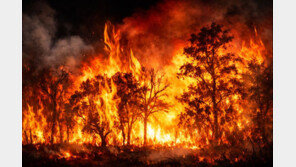 예산서 산불, 대응 1단계 발령…헬기 7대 투입해 진화 중