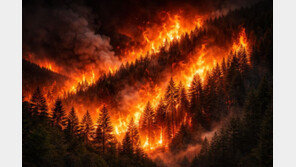 서울 종로 북한산 산불 진화 중…등산객이 신고