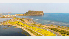 “제주 가면 성산일출봉? 이젠 옛말”…자연유산 방문객 200만명선 붕괴