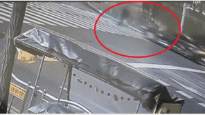 국힘, 산림청장 음주운전에 “‘셀프추천’ 국민추천제 전면 재검토하라”