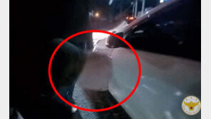 마동석 실사판?…경찰, 유리창 격파해 車 절도범 잡았다