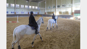 경기도, 초·중·고 학생 등 1만4000명 승마체험 지원