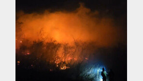 주말 전국 산불 20건 몸살…고성 강풍 뚫고 2시간 만에 주불 진화