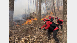 송미령 “산불 24시간 비상 대응…비상한 각오로 역량 총동원”