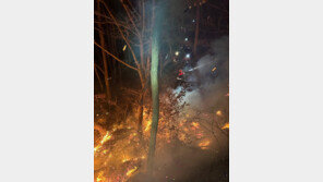 주말 전국 산불 20건, 건조특보-강풍에 초긴장