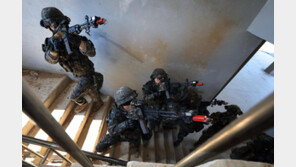 “야외훈련 줄이거나 취소” 한국 제안에 美측 난색… ‘25일 일정 공동발표’ 연기