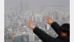 투자용 주택 대출 순차적 규제…임대시장 구조까지 손본다
