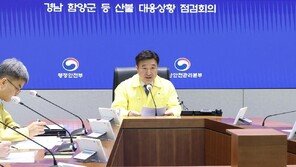행안장관 “불씨 하나로 수십명 피해…산불 방지 동참해달라”