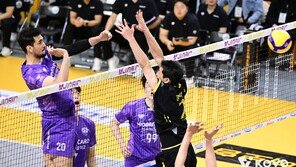 프로배구 6라운드 돌입…남자부는 3위 경쟁, 여자부는 선두권서 삼파전