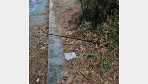 “사람 있는 줄 몰라” 산책 여성 주변에 화살 쏜 20대 2명 송치