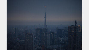 “지상 350m서 멈춘 공포”…도쿄 스카이트리 엘리베이터 갇힘 사고