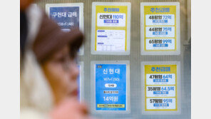 서울 민간아파트 분양가 평당 5273만원 ‘역대 최고’