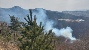 정선 신동읍 인근 야산서 산불…헬기 4대 투입