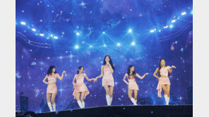 “저희의 영원을 믿어달라” 15주년 에이핑크, 8번째 단콘 성료