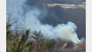 정선 신동읍 산불 1시간36분 만에 진화…인명 피해 없어