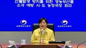 건조·강풍에 산불 비상…정부, 불법 소각 집중 단속
