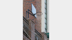 [고양이 눈]너와 함께라면