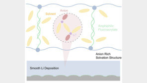 삼성SDI 연구팀, ‘리튬메탈배터리’ 단점 해소한 기술 개발… 차세대 제품 상용화에 한 발짝