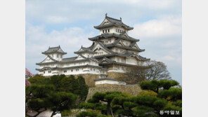 물가 상승·보호 인식 맞물려…세계유산 관람료 인상 도미노