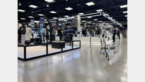 약 챙겨주고 같이 오목 두고… 나만의 반려 로봇, 마트에서 만나보세요