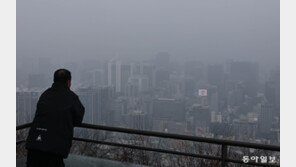 미세먼지 주의보 발령, 아이 ‘폐 성장’엔 경보