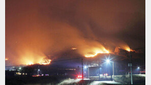 이틀만에 함양 산불 잡았는데 이번엔 밀양… 잇단 국가소방동원령