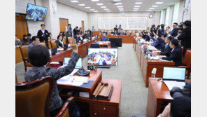 ‘지선과 함께 개헌’ 국민투표법, 與주도 법사위 통과