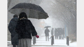 대전·세종·충남 일부 지역 대설주의보…“차량 안전 주의”