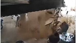 “차 마시는데 바닥이 ‘쾅’ 솟구쳤다”…베트남 하이퐁 맨홀 폭발