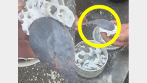 “유골 속에 왜 ‘쇠숟가락’이?”…군 가혹행위 의혹 휩싸인 태국