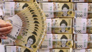 6개월째 하락했던 원화 실질가치, 지난달 소폭 반등