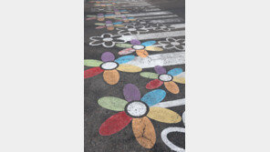 [고양이 눈]꽃길만 걷자