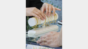 사패산 터널 ‘1억 금팔찌’ 주인 찾았다…“부부싸움하다 홧김에 던져”