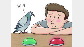 비둘기처럼 생각해야 할 때[서광원의 자연과 삶]〈119〉