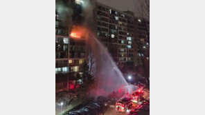 새벽 화재로 10대 숨진 은마아파트, 전층 스프링클러 설치 안돼