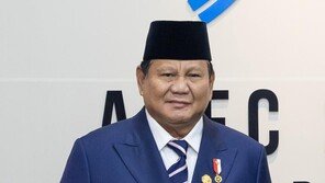 [단독]브라질 이어 인니 대통령 4월 국빈 방한 추진