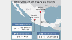 한국 월드컵팀 2경기… 멕시코 과달라하라 ‘마약조직과의 전쟁’ 초비상